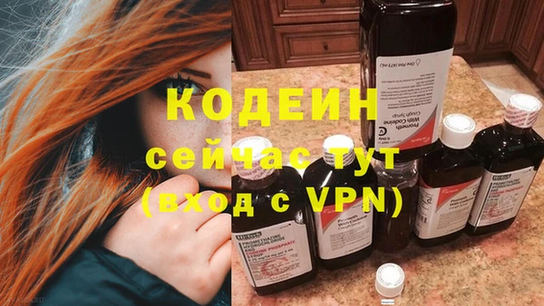индика Богородск