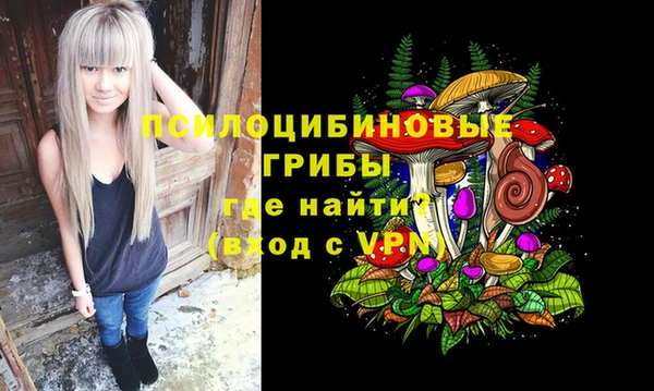 индика Богородск