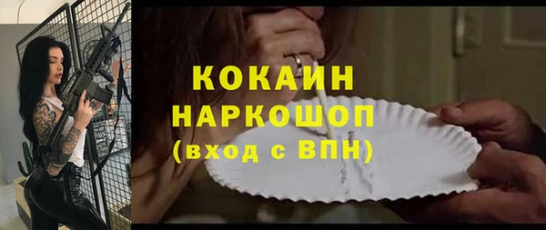 индика Богородск