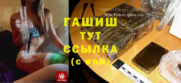 индика Богородск