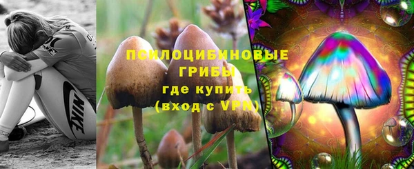 индика Богородск