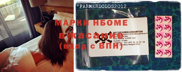 индика Богородск