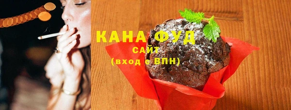 индика Богородск