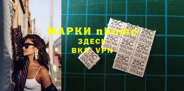 индика Богородск