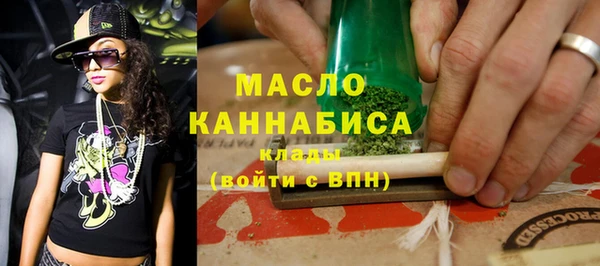 индика Богородск