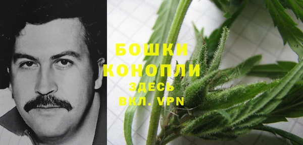 индика Богородск