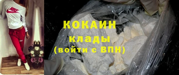 индика Богородск